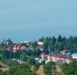 Кипарис