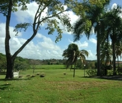 The Woods at Palmas del Mar