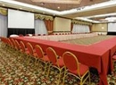 Фото Crowne Plaza Santiago