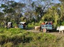 Gaida Wildlife Camp Lodge Chitwan