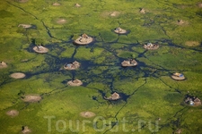 Деревня в болотах Белого Нила, район  Бора, штат Джонглий, Южный Судан