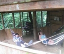 Фото Martz Farm Treehouses
