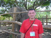 19 декабря 2010. Паттайя. Змеиная ферма