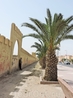 В XVI веке Тарудант был столицей Саадитов. Город был обнесен мощной стеной, прекрасно сохранившейся до наших дней