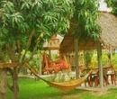 Фото Baan Phu Mai Hom