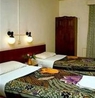 Фото Pokhara View Garden Hotel
