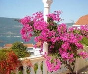 Apartments Herceg Novi