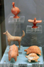 Вероятно, это были детские игрушки. Похожие вещи видела в музее Акрополя в Афинах.