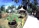 Фото Paradise Island Resort & Spa