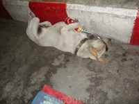 no komments no komments