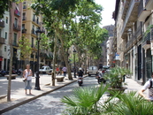Барселона к моему удивлению - каменный город. Зелени мало.. Ну разве это платаны?! 