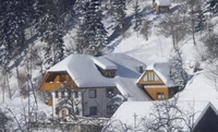 Фото отеля Gornik Apartments