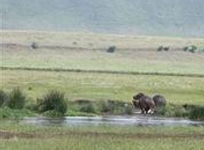 Lemala Ngorongoro Camp