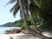 Koh Wai