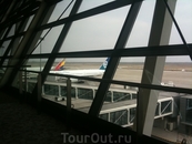 Необъятные просторы Шанхайского аэропорта...и хвост моего следующего самолета :):)