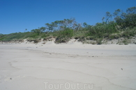 Дюны и песок кругом. Пока дюны не укрепили, песок двигался на поселки со скоростью 15 км в год.