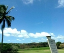 Фото The Woods at Palmas del Mar