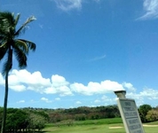 The Woods at Palmas del Mar