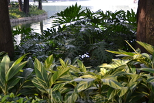 Парк Лю Хуа Ху расположен на западе Гуанчжоу, рядом с парком Юесю. На территории парка
находится самое большое искусственное озеро города с небольшими островками и пешеходными дорожками.