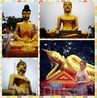 Золотые Будды:*
