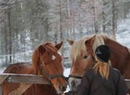 Фото Kamisak Husky and Horse Farm