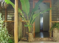Mama Noots Jungle Resort