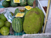 Плоды (соплодия) джекфрута — самые большие съедобные плоды, произрастающие на деревьях