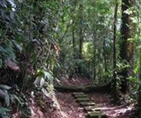 Фото отеля Eco Lodge Resort Lake Coter Nuevo Arenal