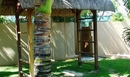Фото Royal Palm