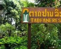 Фото отеля Tad Fane Resort