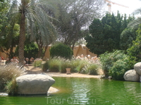 Фламинго в зоопарке в г.Аль-Айн