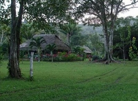 Фото отеля Mama Noots Jungle Resort