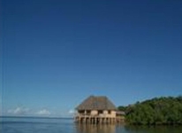 The Sands At Chale Island