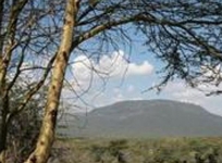 Muthaiga Safari camp