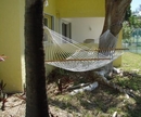 Фото Hammock Heaven By Living Easy Abaco