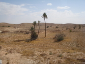 Одинокие в пустыне 