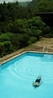 Фото Golden Frog Inn