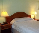 Фото Palm Garden Hotel