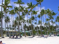 Barcelo Bavaro Caribe Beach