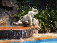 слоны - символ острова Чанг