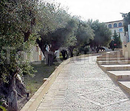 Фото Pueblo Acantilado