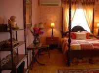 D Nest Inn