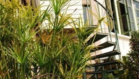 Фото отеля Arun Residence