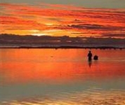 Aroa Beachside Inn Rarotonga