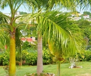 Emerald View Resort Villa Emerald View Resort Villa