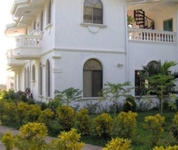 The Dolphin The Dolphin