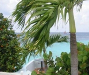 Captain Dons Habitat Captain Dons Habitat