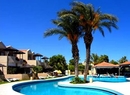 Фото Palm Beach