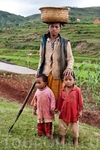 рисовые террасы
семья за работой