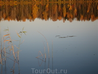 Понятно, что осень, к тому же золотая.